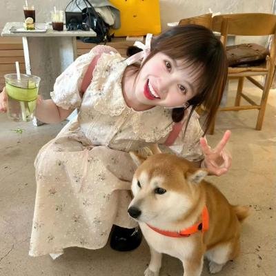 我的第一先生